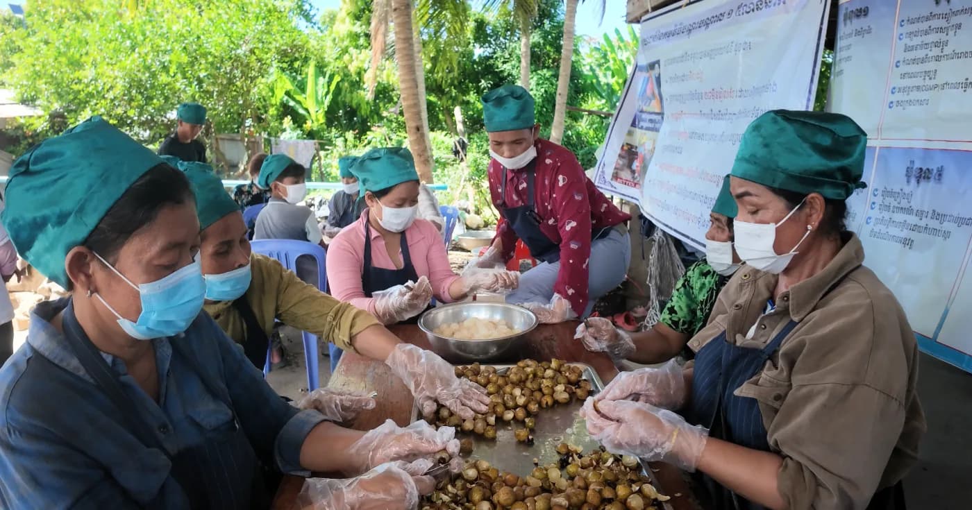 ប្រជាពលករមកពីប្រទេសថៃ ទទួលបានវគ្គបណ្តុះបណ្តាលកែច្នៃបន្លែផ្លែឈើ ពីវិទ្យាស្ថានភូមិភាគតេជោសែនបាត់ដំបង