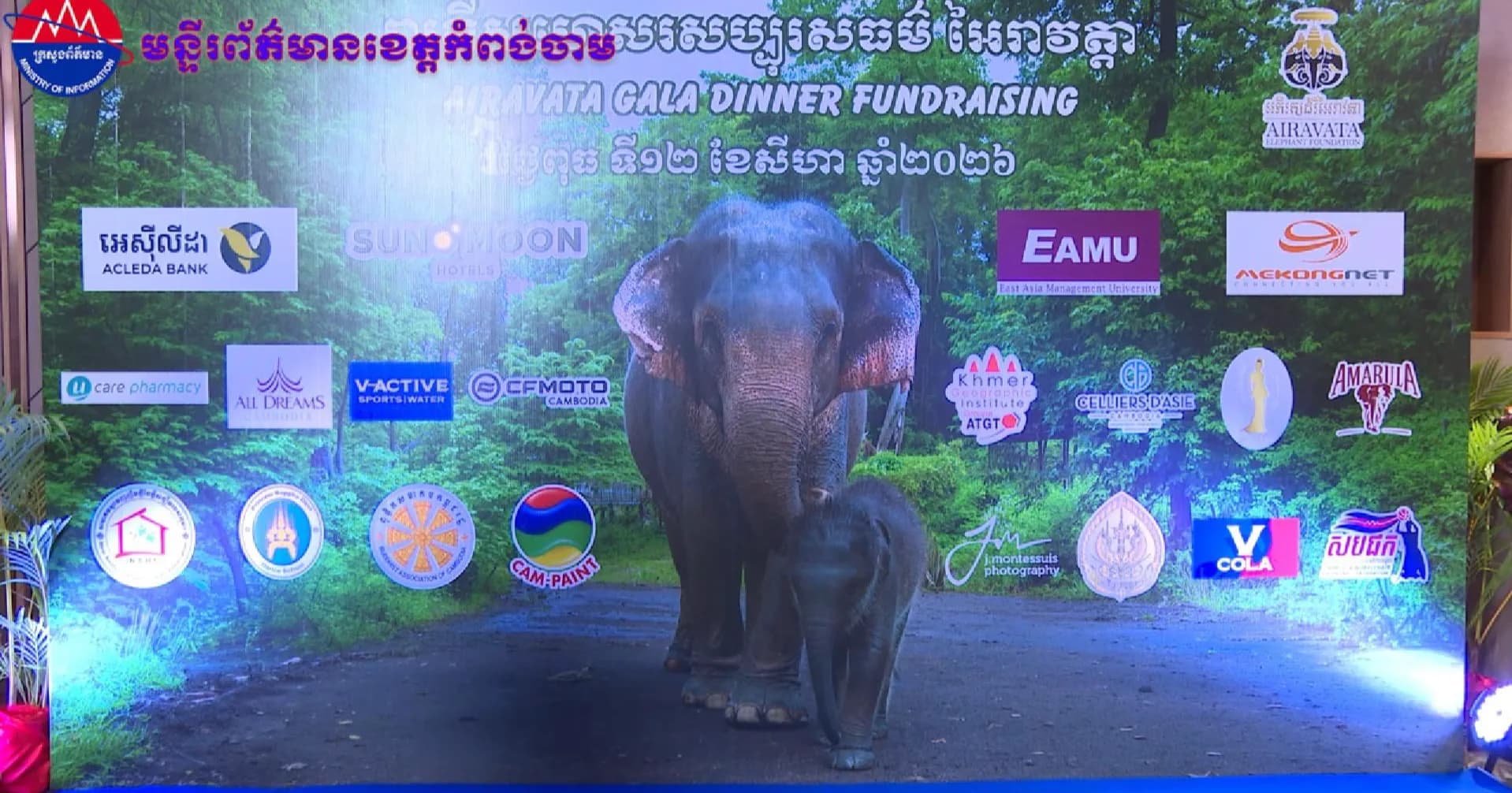 (វិដេអូ)ឯកឧត្តម នេត្រ ភក្រ្តា រដ្ឋមន្រ្តីក្រសួងព័ត៌មាន បានសង្កត់ធ្ងន់ថា ដំរីមានតួនាទីសំខាន់ក្នុងប្រព័ន្ធអេកូឡូស៊ី ព្រោះវាត្រូវបានចាត់ទុកថាជា «វិស្វករនៃប្រព័ន្ធអេកូឡូស៊ី»