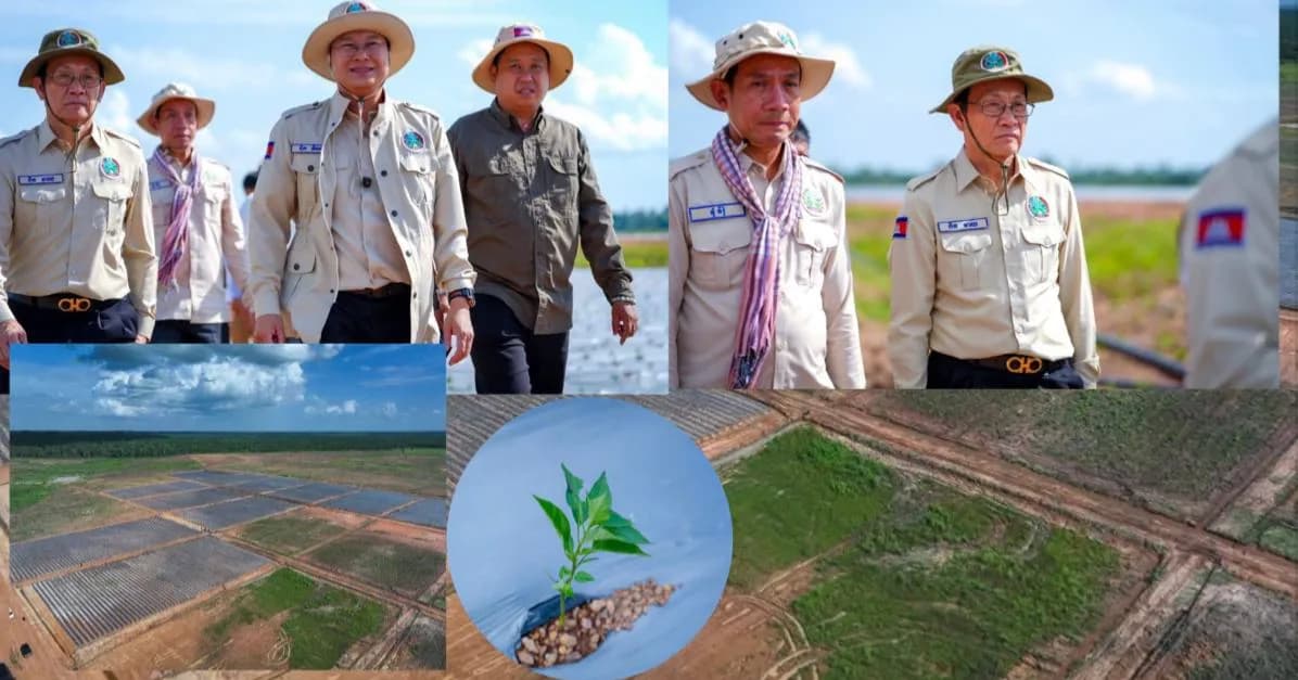 ឯកឧត្តម ឌិត ទីណា ចុះពិនិត្យវឌ្ឍនភាព «គម្រោងកសិដ្ឋានម្ទេសខ្នាតធំ» លើផ្ទៃដីជាង ៩០ ហិកតា ក្នុងខេត្តស្ទឹងត្រែង