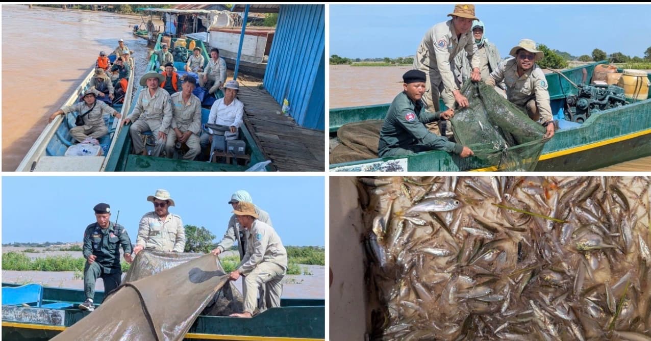 ជំនាញជលផល បានរុះរើ បំផ្លាញឧបករណ៍ល្មើស និងលែងកូនត្រីចម្រុះប្រមាណជិត ៥០គីឡូក្រាម  ចូលក្នុងបឹងធម្មជាតិវិញ