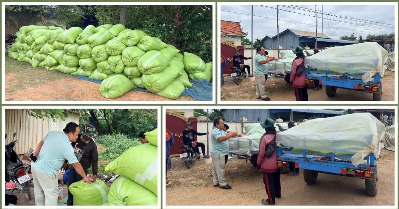 តាមដានតម្លៃស្រូវនៅស្រុកបាណន់ ខេត្តបាត់ដំបង
