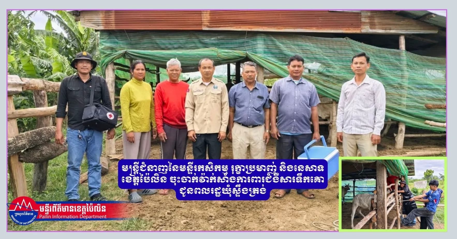 មន្ត្រីជំនាញនៃមន្ទីរកសិកម្ម រុក្ខាប្រមាញ់ និងនេសាទខេត្តប៉ៃលិន ចុះចាក់វ៉ាក់សាំងការពារជំងឺសារទឹកគោ ជូនពលរដ្ឋឃុំស្ទឹងត្រង់