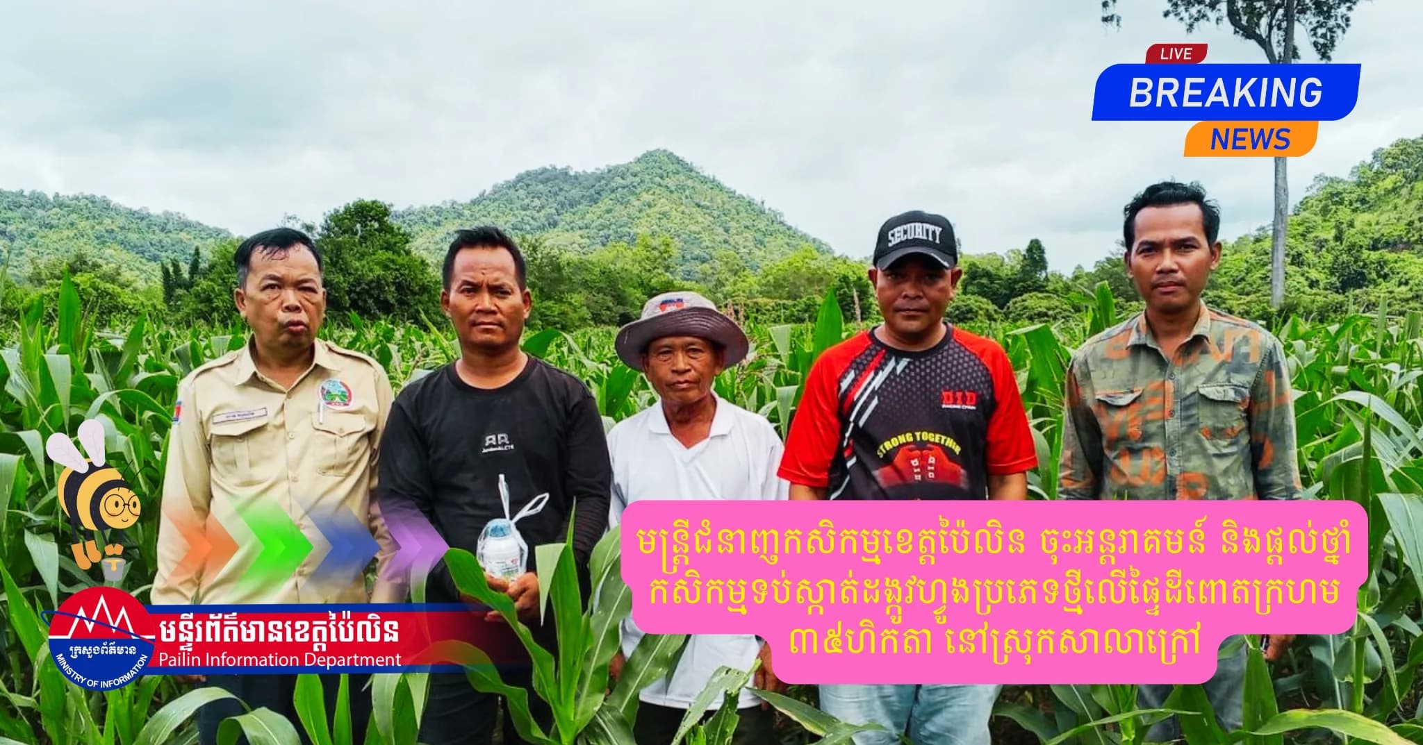 មន្ត្រីជំនាញកសិកម្មខេត្តប៉ៃលិន ចុះអន្តរាគមន៍ និងផ្តល់ថ្នាំកសិកម្មទប់ស្កាត់ដង្កូវហ្វូងប្រភេទថ្មីលើផ្ទៃដីពោតក្រហម ៣៥ហិកតា នៅស្រុកសាលាក្រៅ
