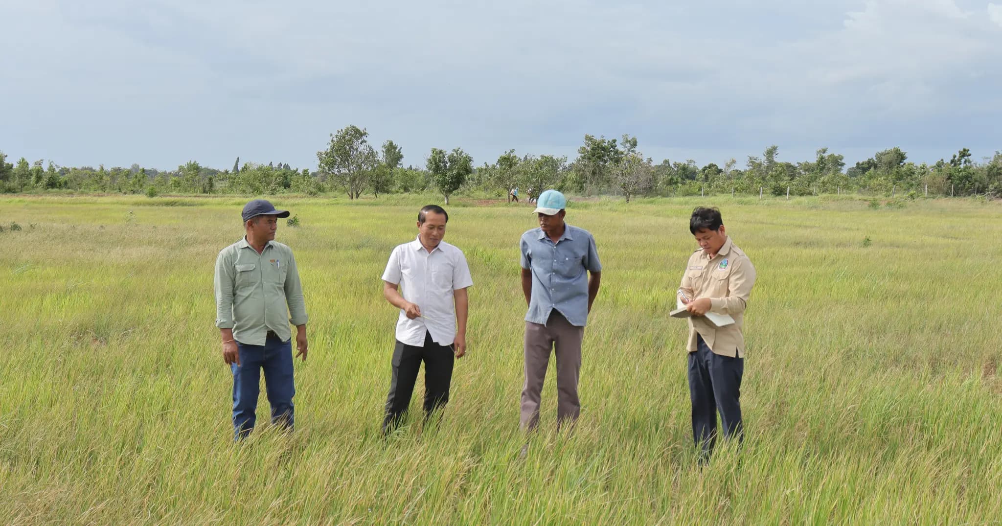មន្ទីរជំនាញខេត្តប៉ៃលិន ចុះវាយតម្លៃ និងអន្តរាគមន៍សង្គ្រោះស្រូវវស្សាចំនួន ៣.០៣០ហិកតា ពីគ្រោះរាំងស្ងួត នៅឃុំស្ទឹងត្រង់