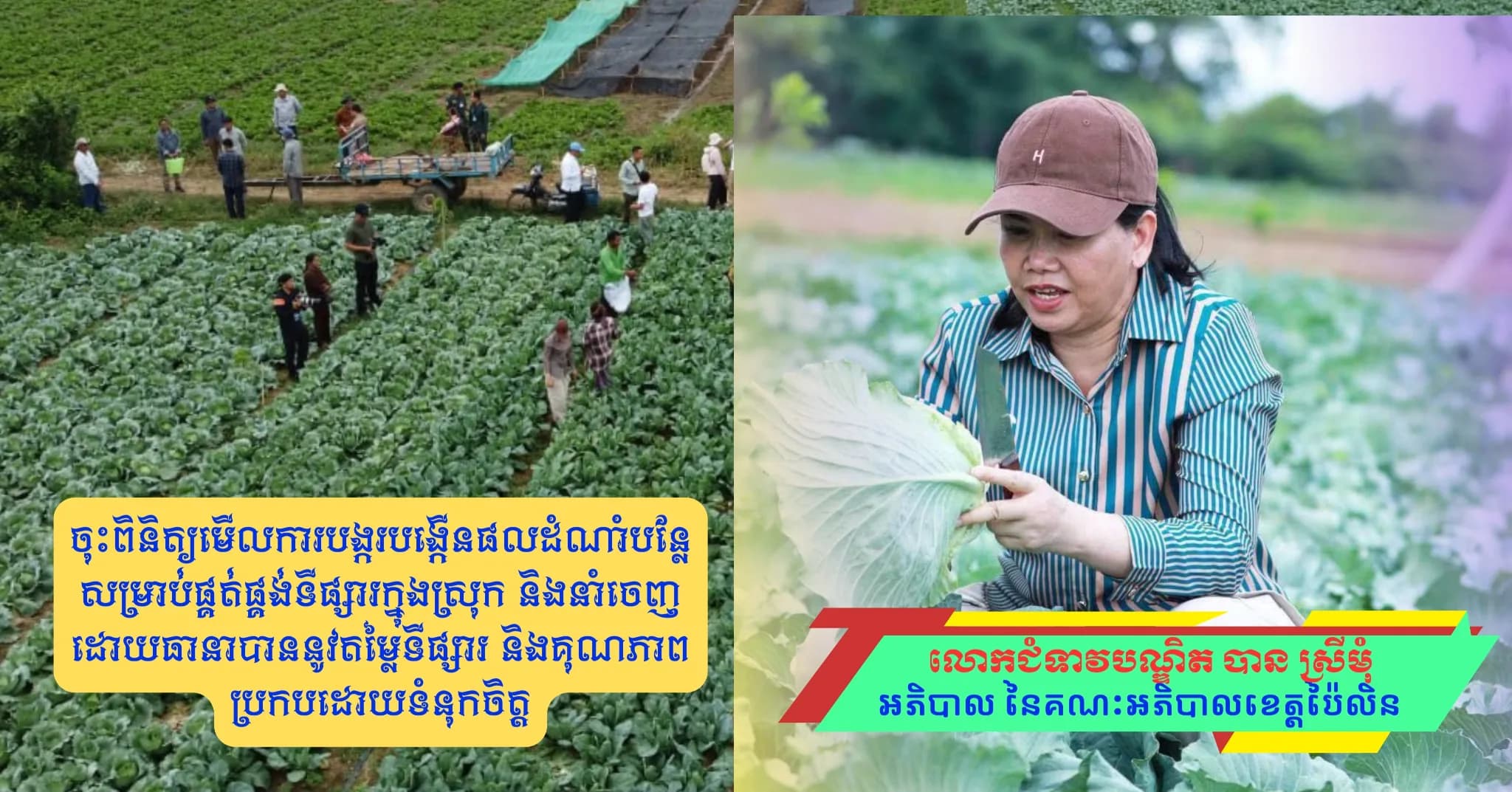 ព័ត៌មាន ទទក ប៉ៃលិន (Video) : អភិបាលខេត្តប៉ៃលិន ចុះពិនិត្យមើលការបង្ករបង្កើនផលដំណាំបន្លែ សម្រាប់ផ្គត់ផ្គង់ទីផ្សារក្នុងស្រុក និងនាំចេញ ដោយធានាបាននូវតម្លៃទីផ្សារ និងគុណភាព ប្រកបដោយទំនុកចិត្ត