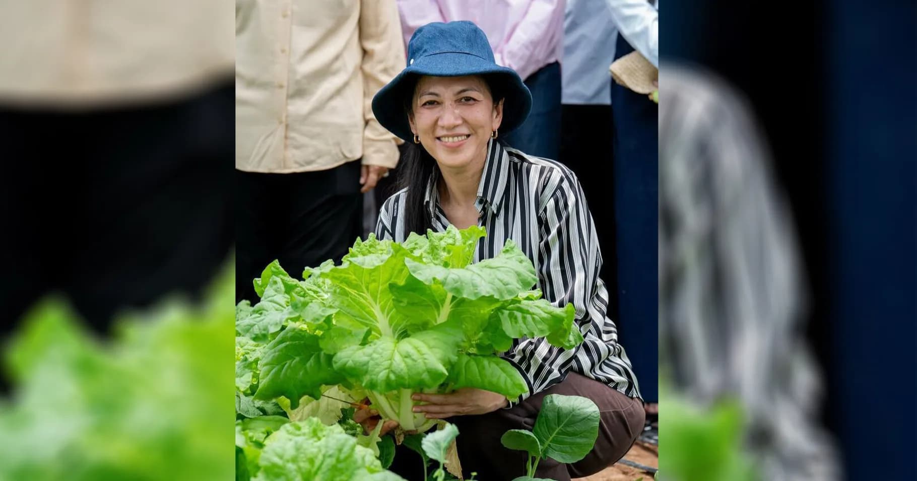 លោកជំទាវបណ្ឌិត ពេជ ចន្ទមុន្នី ហ៊ុន ម៉ាណែត អញ្ជើញពិនិត្យកម្មវិធីលើកកម្ពស់ជីវភាពគ្រួសារយុទ្ធជន តាមរយៈកសិកម្មទំនើប នៅខេត្តសៀមរាប